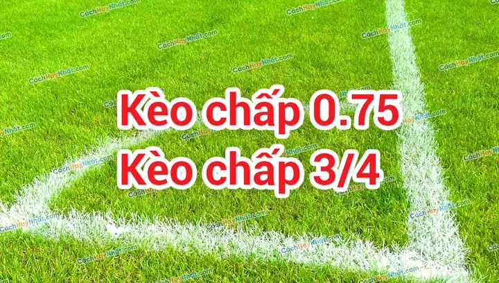 Kèo Chấp 0.75 Là Gì? Hướng Dẫn Chi Tiết & Kinh Nghiệm Chơi Thắng