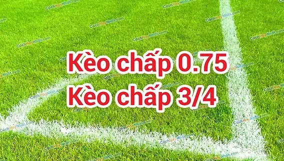 Kèo Chấp 0.75 Là Gì? Hướng Dẫn Chi Tiết & Kinh Nghiệm Chơi Thắng