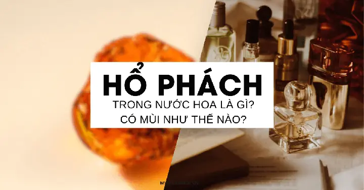 "1 Ea" Là Gì? Ý Nghĩa Và Cách Sử Dụng Phổ Biến Trong Nhiều Lĩnh Vực
