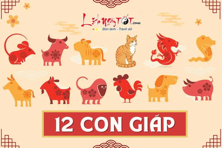 Số 12 Có Ý Nghĩa Gì? Khám Phá Đầy Đủ Các Khía Cạnh Tâm Linh, Thần Số Học Và Cuộc Sống