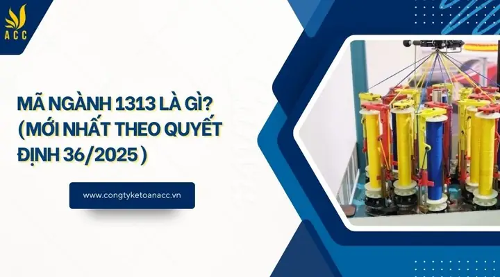 1313 Là Gì? Giải Mã Ý Nghĩa Số Thiên Thần, Mã Ngành Và Tổng Đài