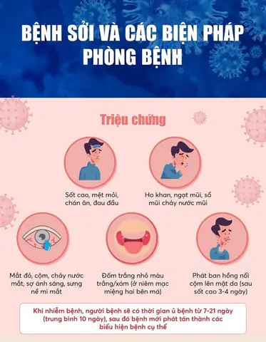 21 Số Đề Là Con Gì? Giải Mã Ý Nghĩa Theo Dân Gian Và Lô Đề