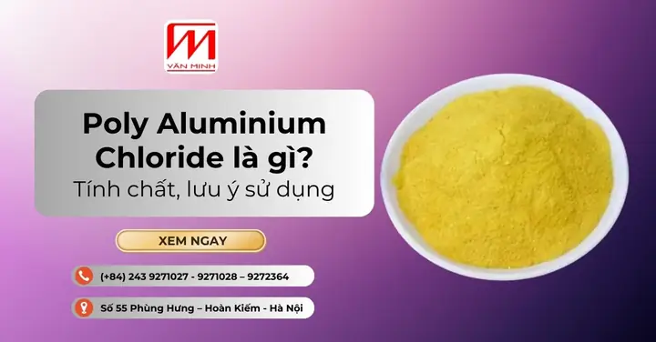 243 Là Gì? Khám Phá Các Ý Nghĩa, Quy Định Pháp Luật Và Kế Toán Liên Quan Đến Số 243