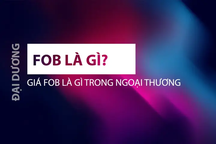 360live Là Gì? Hướng Dẫn Sử Dụng Và Các Tính Năng Nổi Bật