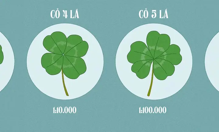 Số 5 Có Ý Nghĩa Gì? Khám Phá Biểu Tượng Của Tự Do Và May Mắn