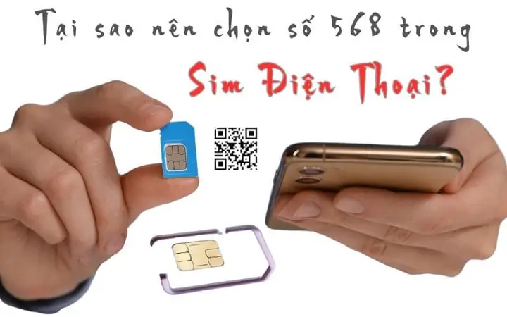 Giải Mã Ý Nghĩa Số 568: Phúc Lộc Phát Đầy Đủ Cho Sim, Phong Thủy Và Hơn Thế Nữa