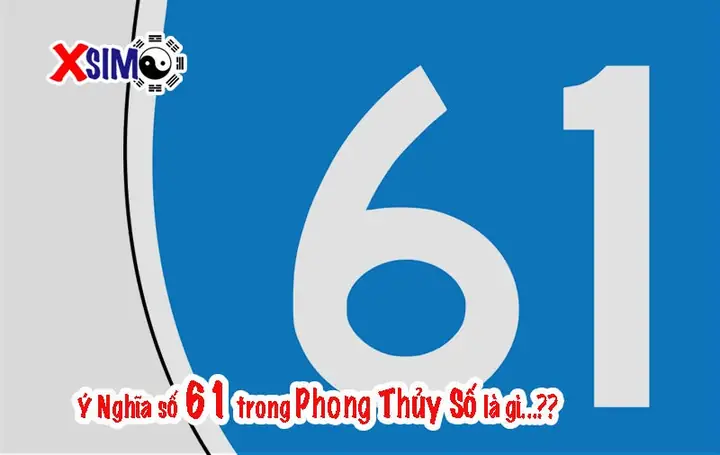 Giải Mã Ý Nghĩa Số 61 Theo Phong Thủy Và Đời Sống: Số May Mắn Hay Tốt?