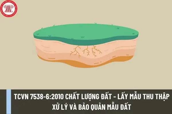 7538 Là Gì? Ý Nghĩa Mật Mã Tình Yêu Và Các Cách Giải Mã