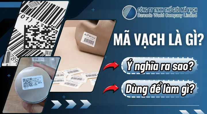 789 Nghĩa Là Gì? Khám Phá Ý Nghĩa Đằng Sau Dãy Số Tiến May Mắn