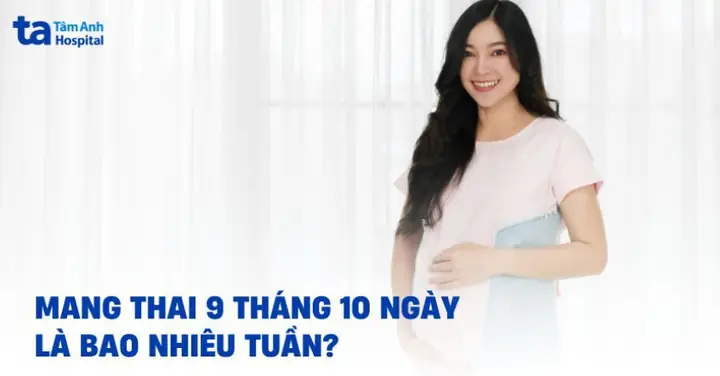 Tháng 10 Ngày Mang Thai: Ý Nghĩa, Tính Toán Và Hành Trình Phát Triển Của Thai Nhi