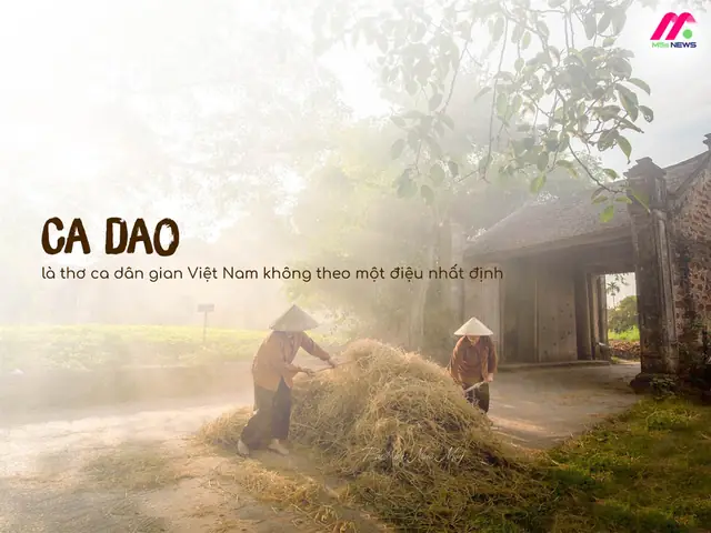 A Giao Là Gì? Nguồn Gốc, Công Dụng Và Cách Dùng Đúng