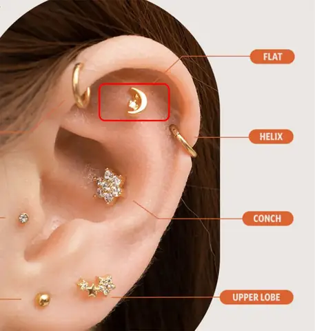 A Lô Xô Là Gì? Nguồn Gốc, Ý Nghĩa Và Cách Dùng Trong Thực Tế