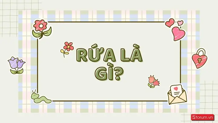 Rứa Là Gì? Giải Mã Ý Nghĩa "mô Tê Răng Rứa" Và Cách Dùng Từ Địa Phương Miền Trung