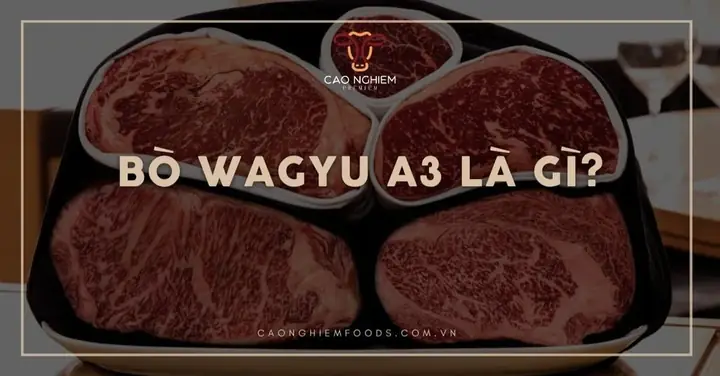"a3 Là Gì?" – Khám Phá Các Định Nghĩa Và Ứng Dụng Phổ Biến