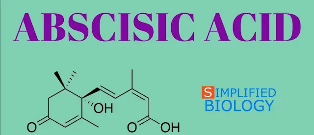 Acid Abscisic (aba): Định Nghĩa, Vai Trò Và Tác Động Lên Thực Vật