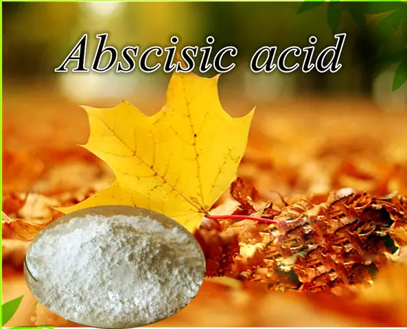 Acid Abscisic (aba): Định Nghĩa, Vai Trò Và Tác Động Lên Thực Vật