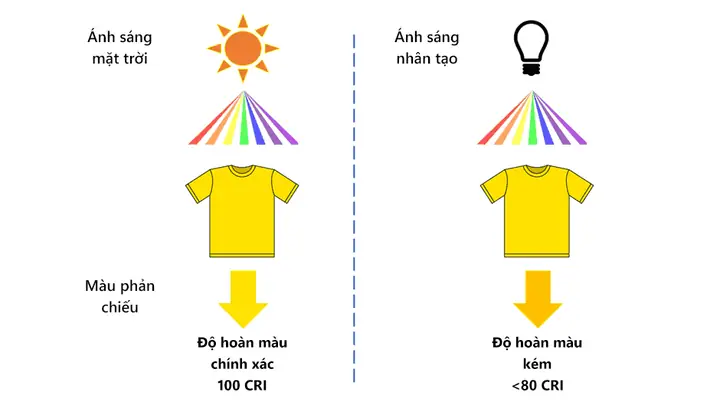 Absorb Là Gì? Khám Phá Ý Nghĩa, Cách Dùng Và Các Sắc Thái Của Từ "absorb"