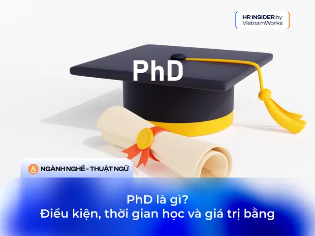 Academic Staff Là Gì? Vai Trò, Nhiệm Vụ Và Phân Loại Đội Ngũ Cán Bộ Giảng Dạy