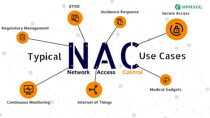 Access Network Là Gì? Định Nghĩa, Chức Năng Và Ứng Dụng Thực Tế