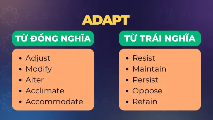 Accommodate Yourself Là Gì? Ý Nghĩa, Cách Dùng Và Ví Dụ Chi Tiết