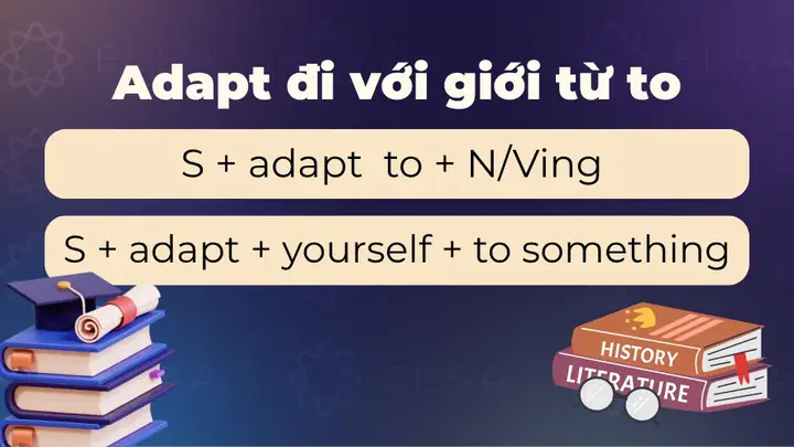 Accommodate Yourself Là Gì? Ý Nghĩa, Cách Dùng Và Ví Dụ Chi Tiết