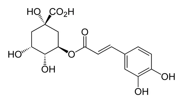Acid Chlorogenic Là Gì? Công Dụng, Nguồn Gốc Và Vai Trò Với Sức Khỏe