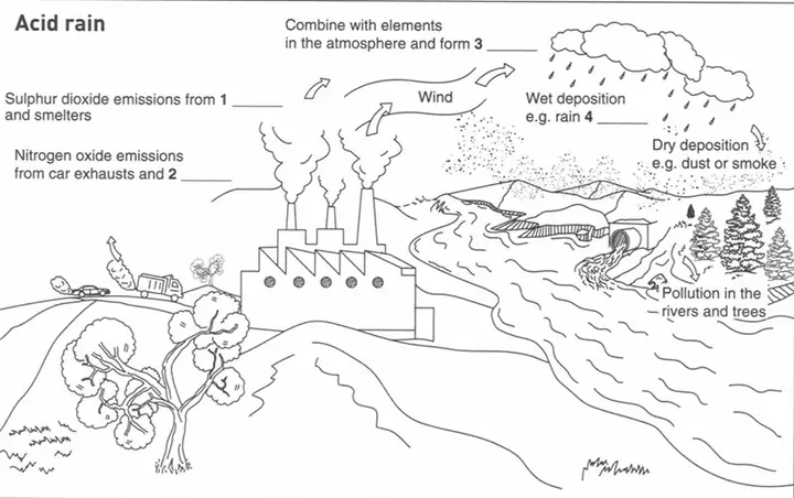 Acid Rain Emissions Là Gì? Nguyên Nhân, Tác Hại Và Cách Khắc Phục