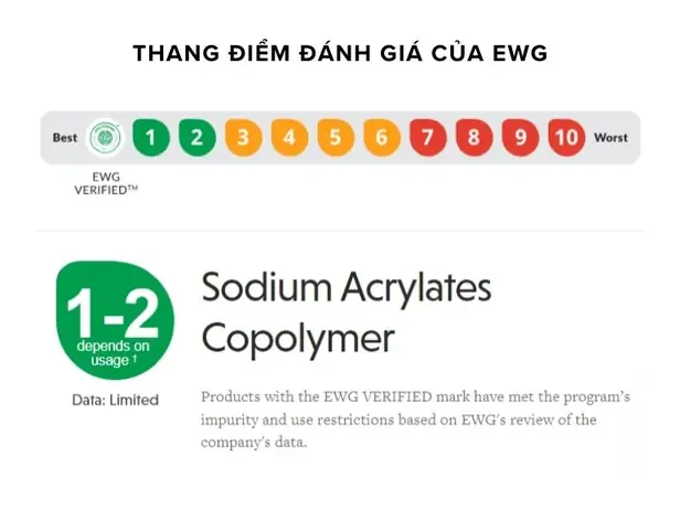 Acrylates Copolymer Là Gì? Công Dụng, Thành Phần & Ứng Dụng Thực Tế