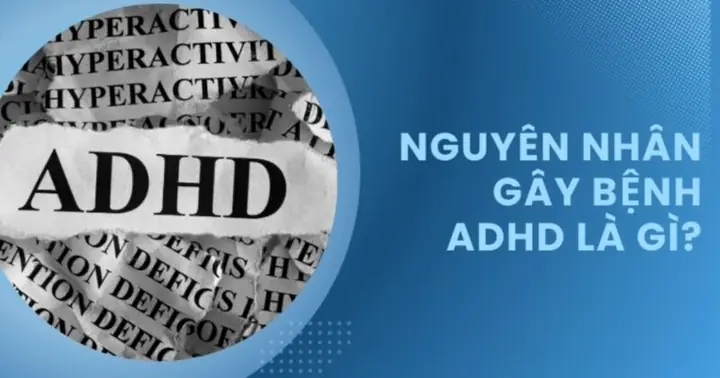 Adhd Test Là Gì? Hướng Dẫn Nhận Biết Và Các Bài Test Hiệu Quả