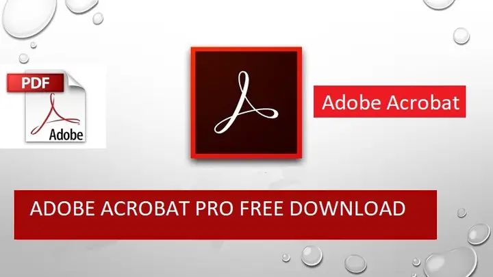 Adobe Acrobat Dc Là Gì? Chức Năng Và Lợi Ích Của Bộ Giải Pháp Pdf Toàn Diện