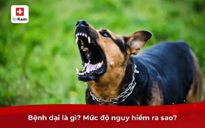 Aerophobia Là Gì? Nguyên Nhân, Triệu Chứng Và Cách Vượt Qua Nỗi Sợ Bay