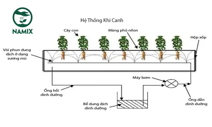 Aeroponics Là Gì? Khí Canh – Công Nghệ Nông Nghiệp Tiên Tiến