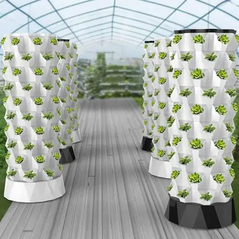 Aeroponics Là Gì? Khí Canh – Công Nghệ Nông Nghiệp Tiên Tiến