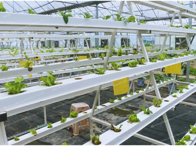 Aeroponics Là Gì? Khí Canh – Công Nghệ Nông Nghiệp Tiên Tiến