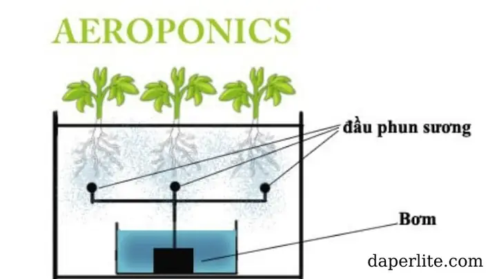 Aeroponics Là Gì? Khí Canh – Công Nghệ Nông Nghiệp Tiên Tiến