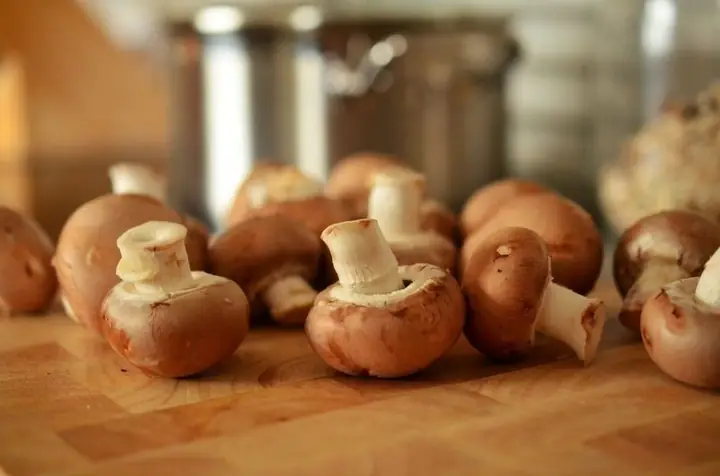 Agaricus Là Gì? Nguồn Gốc, Công Dụng Và Cách Sử Dụng Hiệu Quả