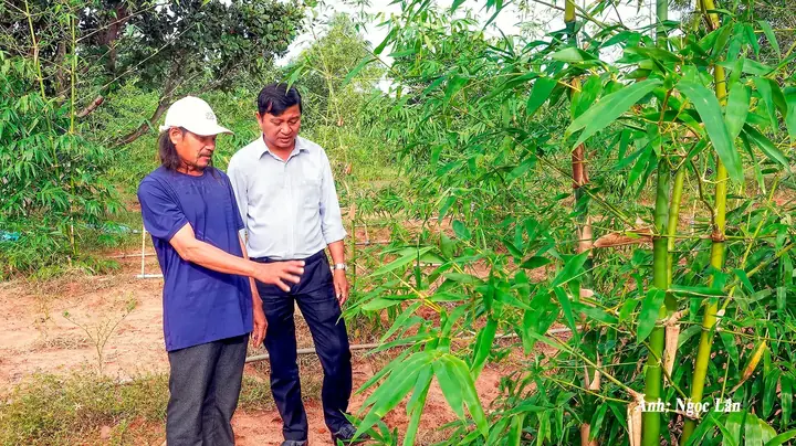 "ai Trồng Khoai Đất Này" Nghĩa Là Gì? Giải Mã Câu Nói Và Ý Nghĩa Sâu Xa