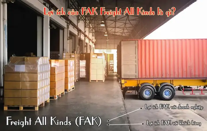 All Kinds Of Là Gì? Ý Nghĩa, Cách Dùng Và Phân Biệt Với Các Cụm Từ Tương Tự