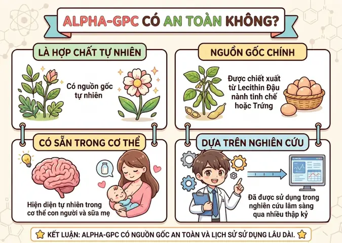 Alpha Gpc Là Gì? Công Dụng, Tác Dụng Phụ Và Liều Dùng Cho Người Dùng Việt Nam