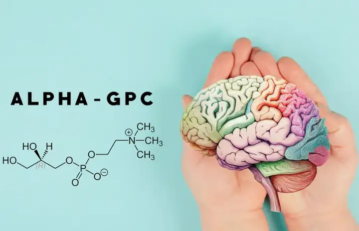 Alpha Gpc Là Gì? Công Dụng, Tác Dụng Phụ Và Liều Dùng Cho Người Dùng Việt Nam