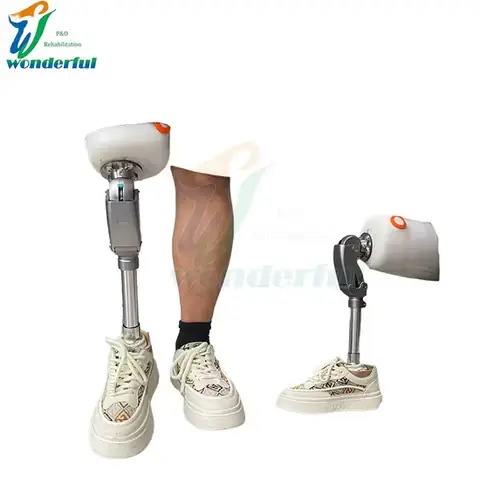 Amputee Là Gì? Định Nghĩa, Ý Nghĩa Và Cuộc Sống Của Người Bị Cắt Cụt Chi