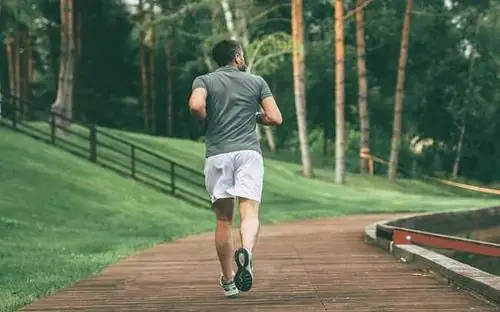 Anaerobic Là Gì? Giải Mã Toàn Diện Về Tập Luyện Kỵ Khí & Ứng Dụng