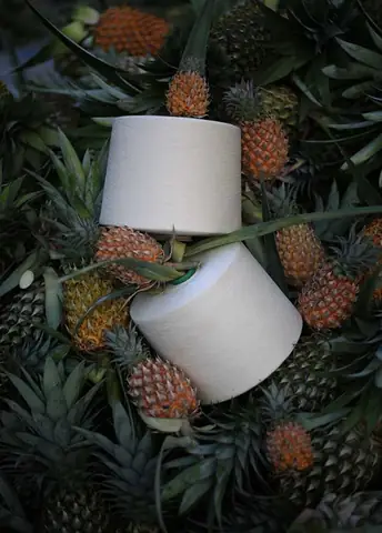 Ananas Là Gì? Khám Phá Nguồn Gốc, Ý Nghĩa Và Các Ứng Dụng Đa Dạng