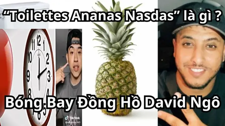 Ananas Là Gì? Khám Phá Nguồn Gốc, Ý Nghĩa Và Các Ứng Dụng Đa Dạng