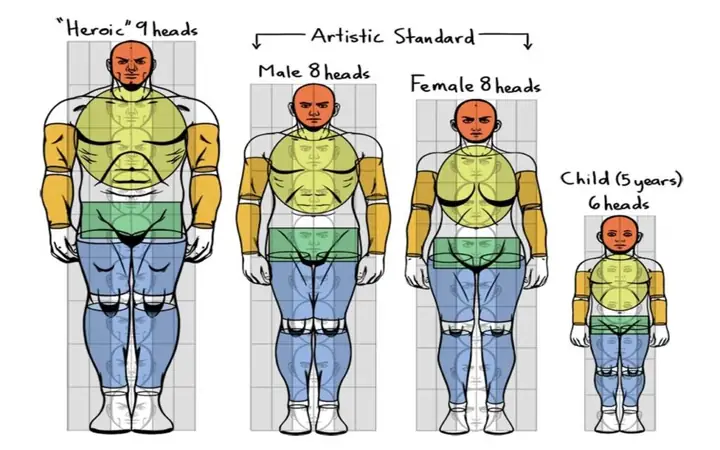 Anatomy Art Là Gì? Kiến Thức Nền Tảng Cho Nghệ Sĩ Hiện Đại