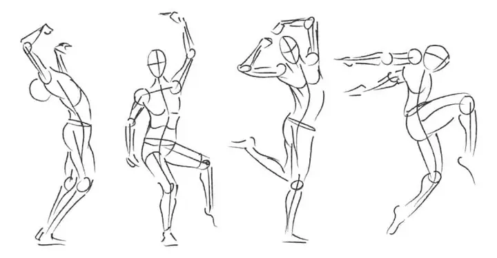 Anatomy Art Là Gì? Kiến Thức Nền Tảng Cho Nghệ Sĩ Hiện Đại