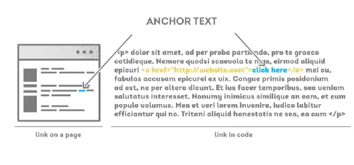 Anchor Text Là Gì? Khái Niệm, Vai Trò Và Cách Tối Ưu Chuẩn Seo