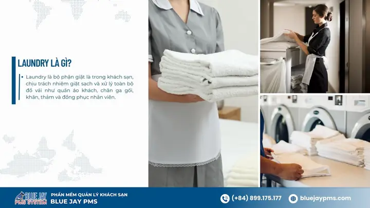 Ancillary Services Là Gì? Phân Loại Và Ví Dụ Thực Tế