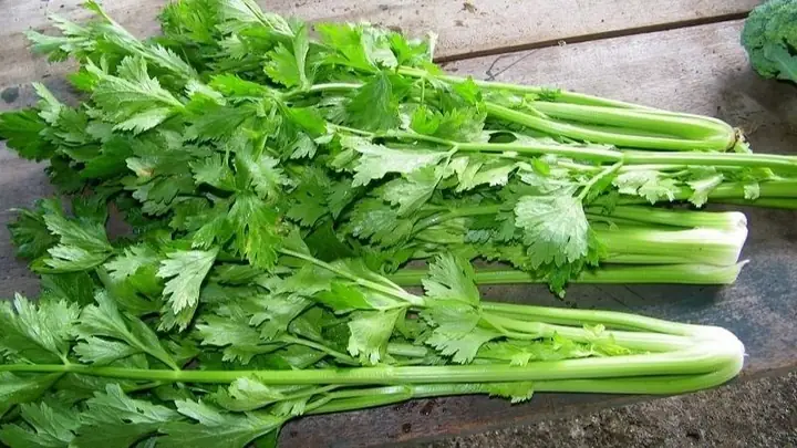 Androsterone Là Gì? Nguồn Gốc, Vai Trò Và Các Khía Cạnh Liên Quan Đến Sức Khỏe Nam Giới