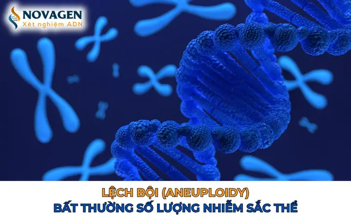 Aneuploidy Là Gì? Nguyên Nhân, Dấu Hiệu Và Tầm Soát Lệch Bội Nhiễm Sắc Thể
